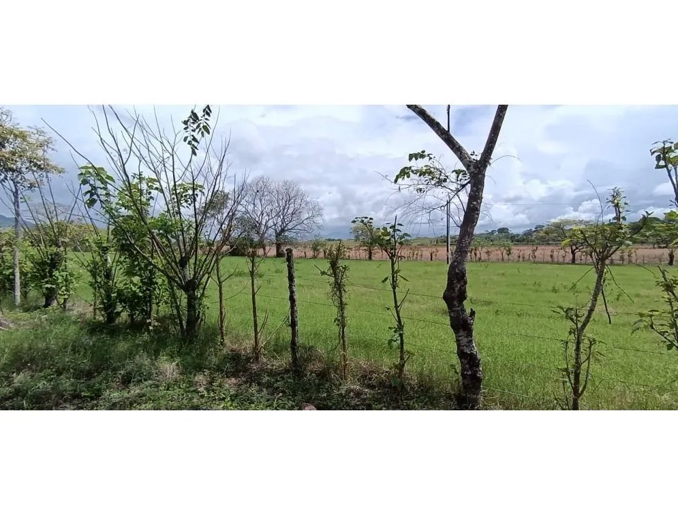 Terreno en venta en tonosí  vía bucaro