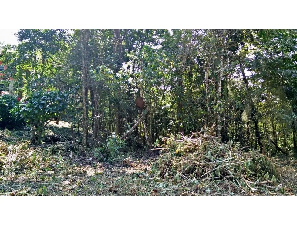 Venta de terreno en cerro azul