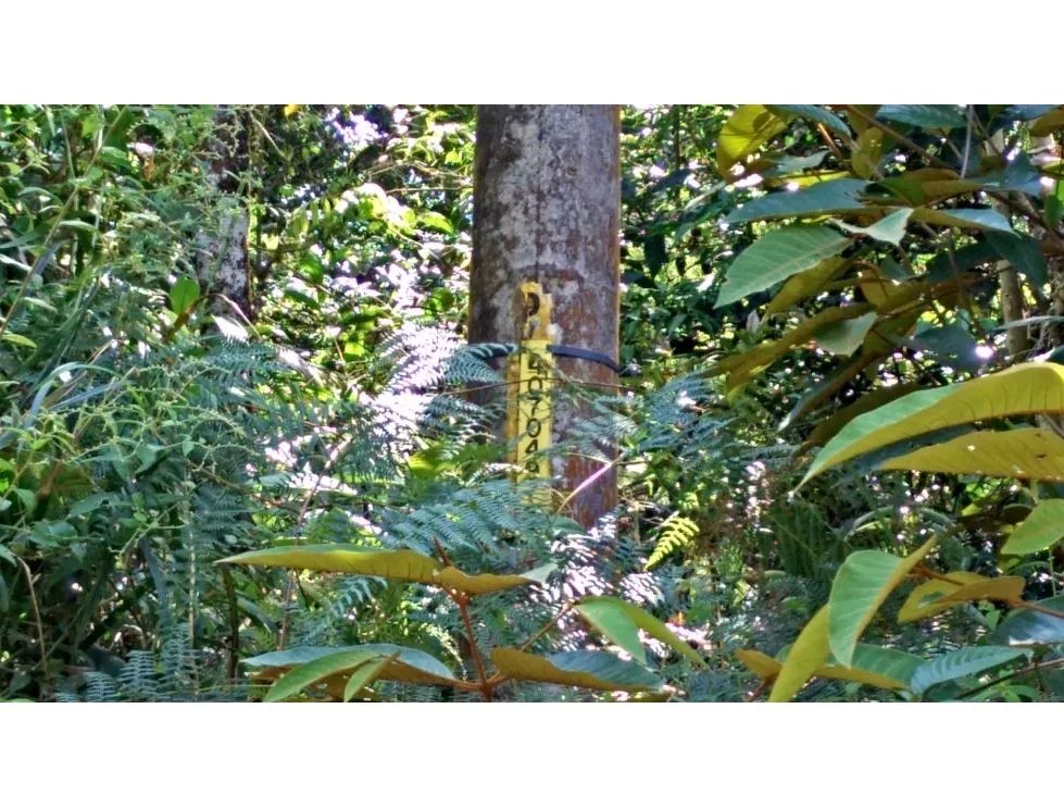 Venta de terreno en cerro azul