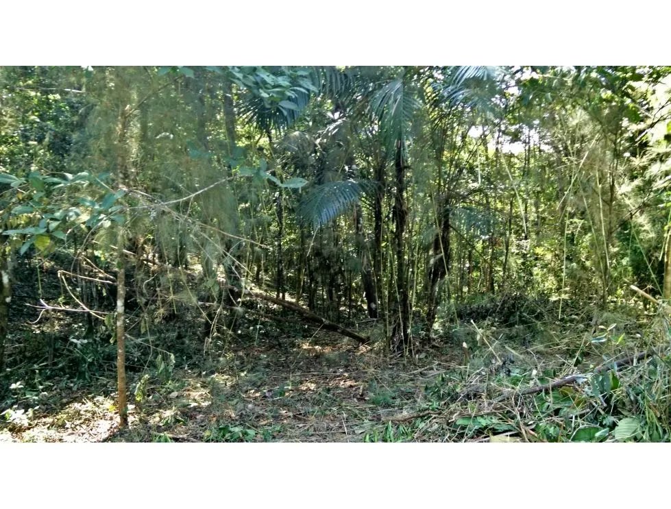 Venta de terreno en cerro azul