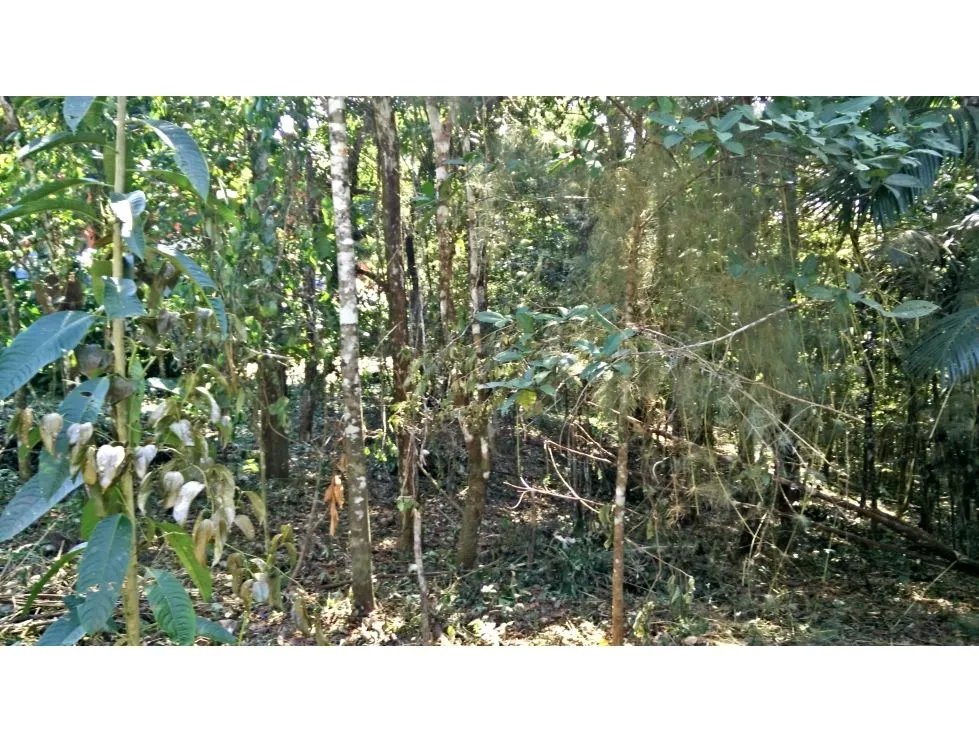 Venta de terreno en cerro azul
