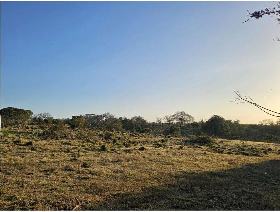 Se vende terreno en monagrillo, herrera panama
