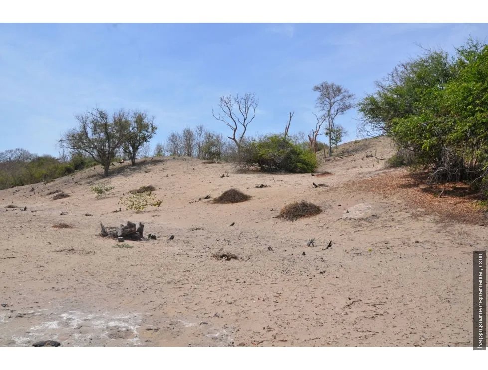 Venta de terreno frente al mar en pocrí, cerca de pedasí.
