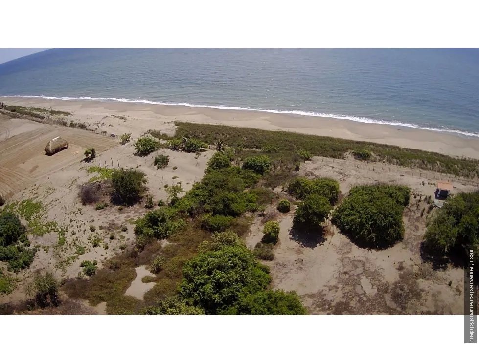 Venta de terreno frente al mar en pocrí, cerca de pedasí.