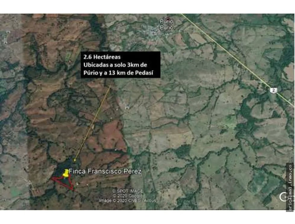 Vendo ganga finca en purio, pedasi.