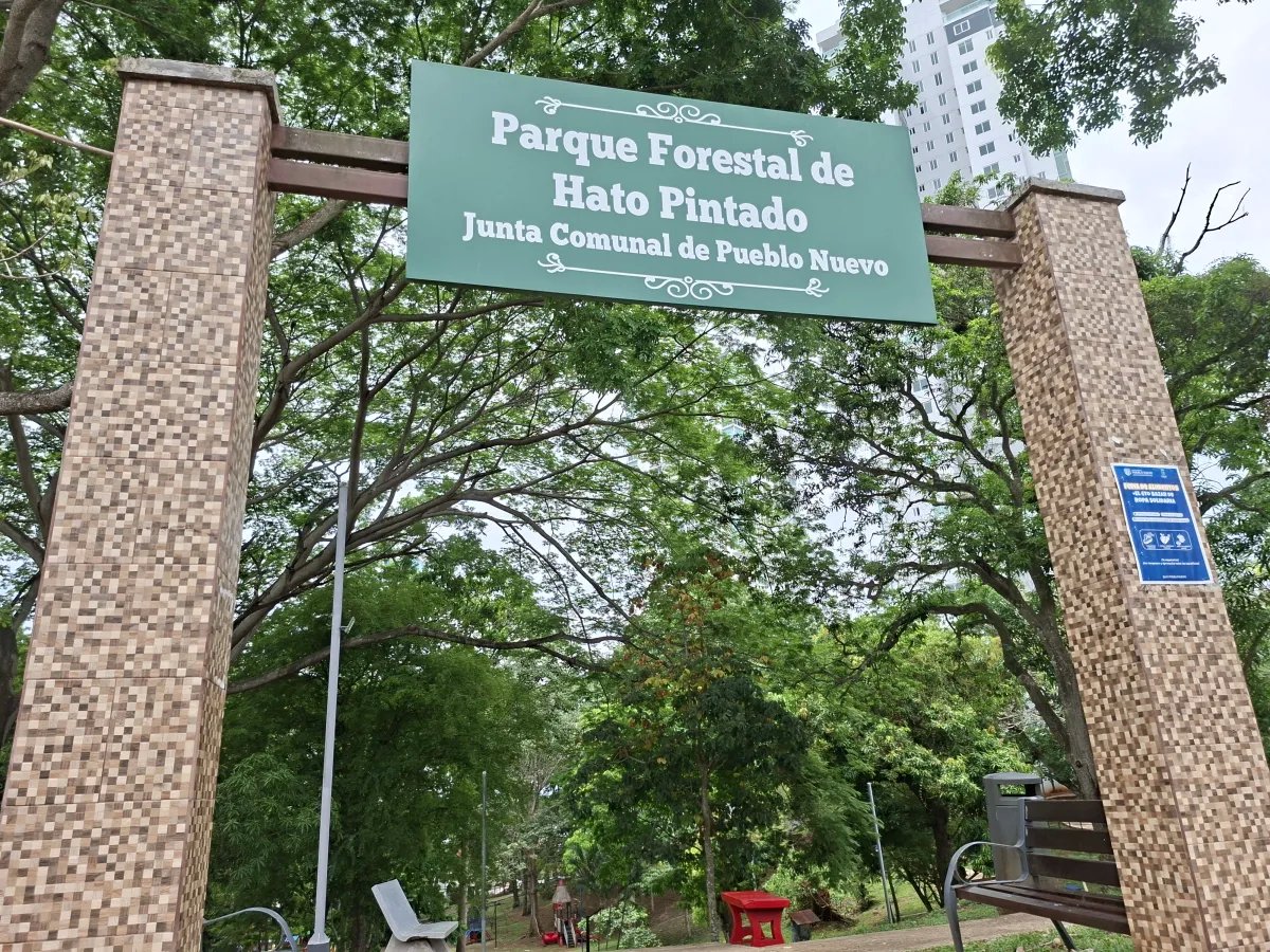 Apartamento en venta en hato pintado