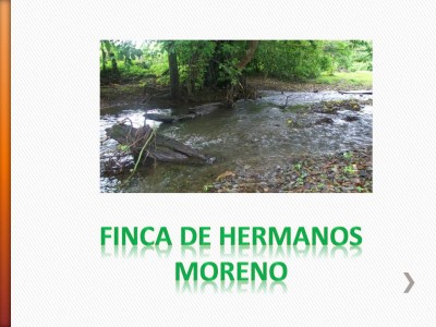 14049 - Panamá - fincas