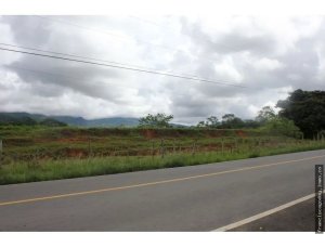 140529 - Panamá - properties - remates judiciales