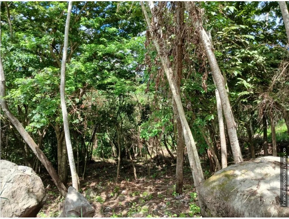 Terreno en venta en aires de chicá, chame