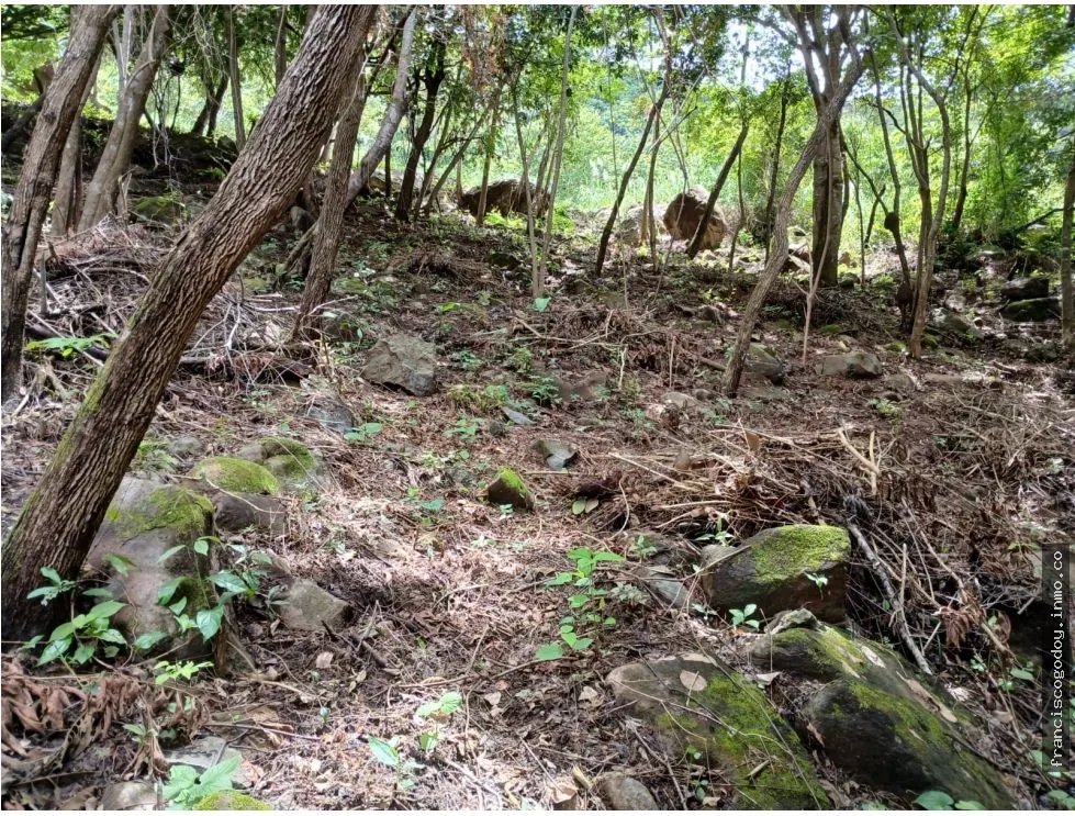 Terreno en venta en aires de chicá, chame