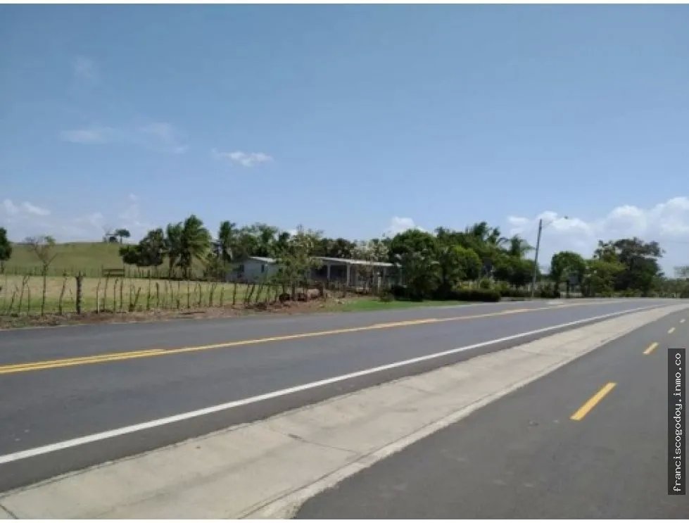 Venta de finca en pesé, herrera
