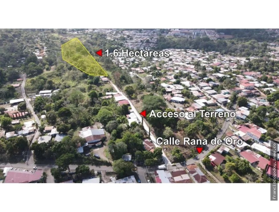 Venta de lote en la rana de oro, pedregal - panamá