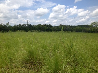 14117 - Calobre - fincas