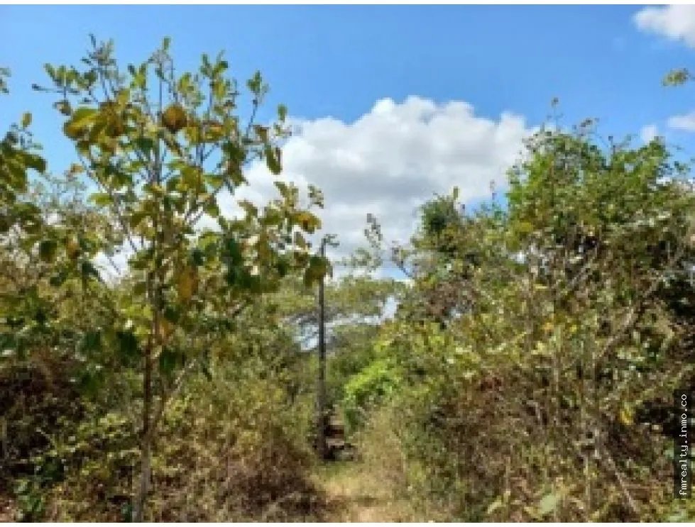 Terreno en venta vía al valle de antón, san carlos