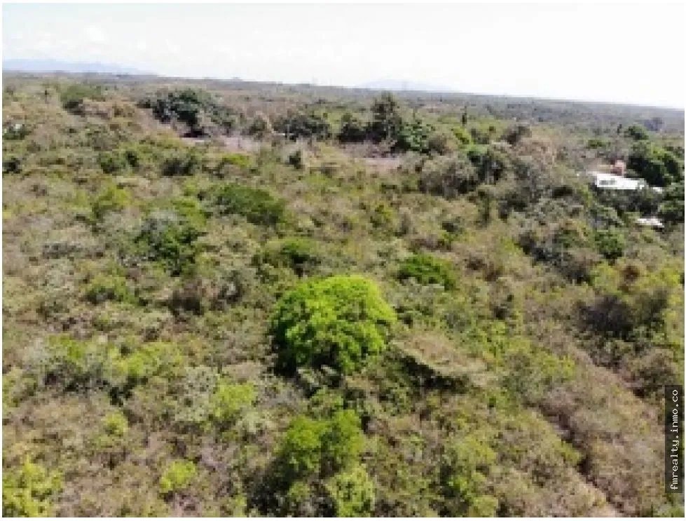 Terreno en venta vía al valle de antón, san carlos
