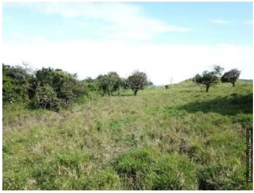 Terreno en venta la pintada, penonomé