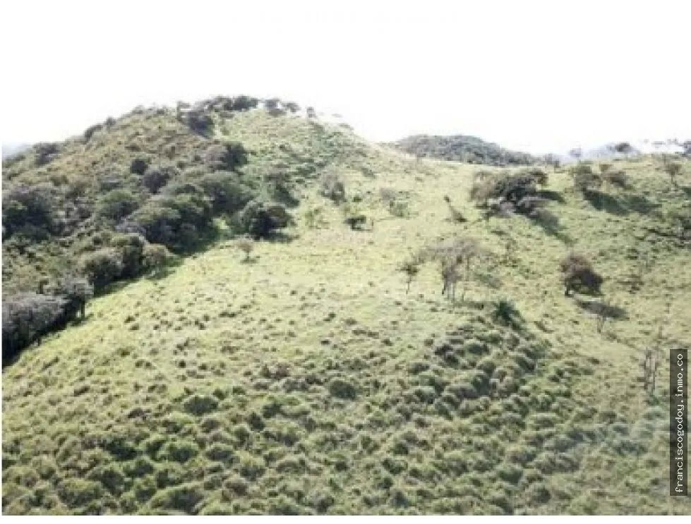 Terreno en venta la pintada, penonomé