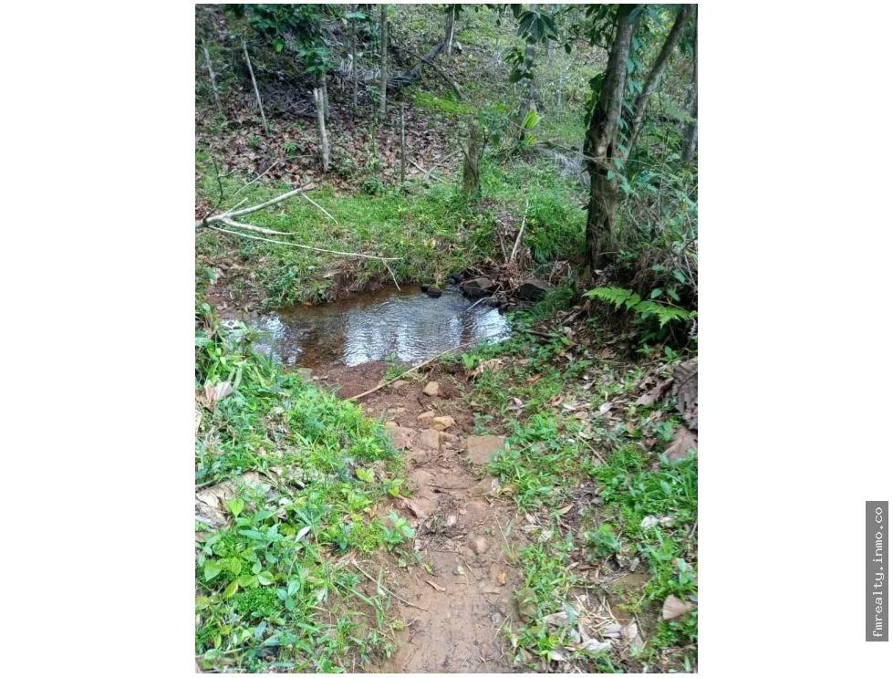 Se vende finca en ciri de los sotos capira panama