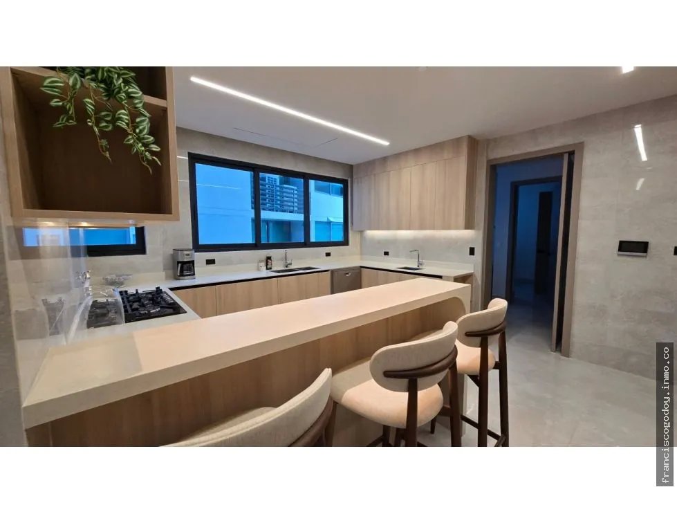 Apartamento en venta punta paitilla