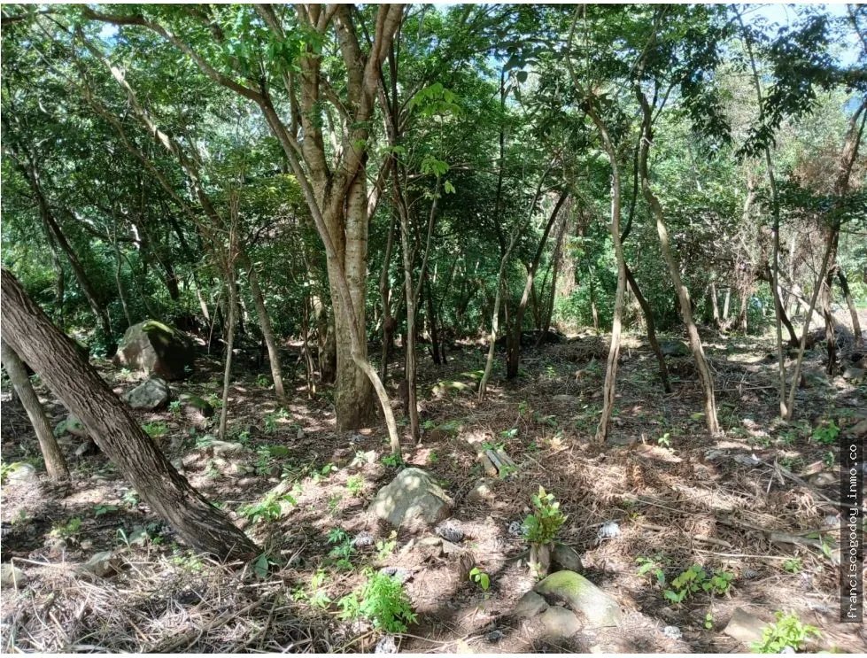 Terreno en venta en aires de chicá, chame