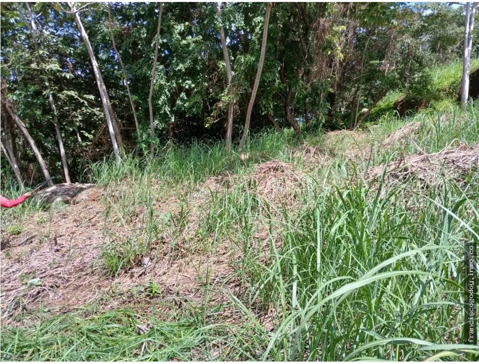 Terreno en venta en aires de chicá, chame