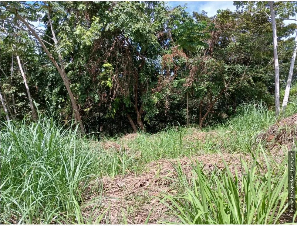 Terreno en venta en aires de chicá, chame