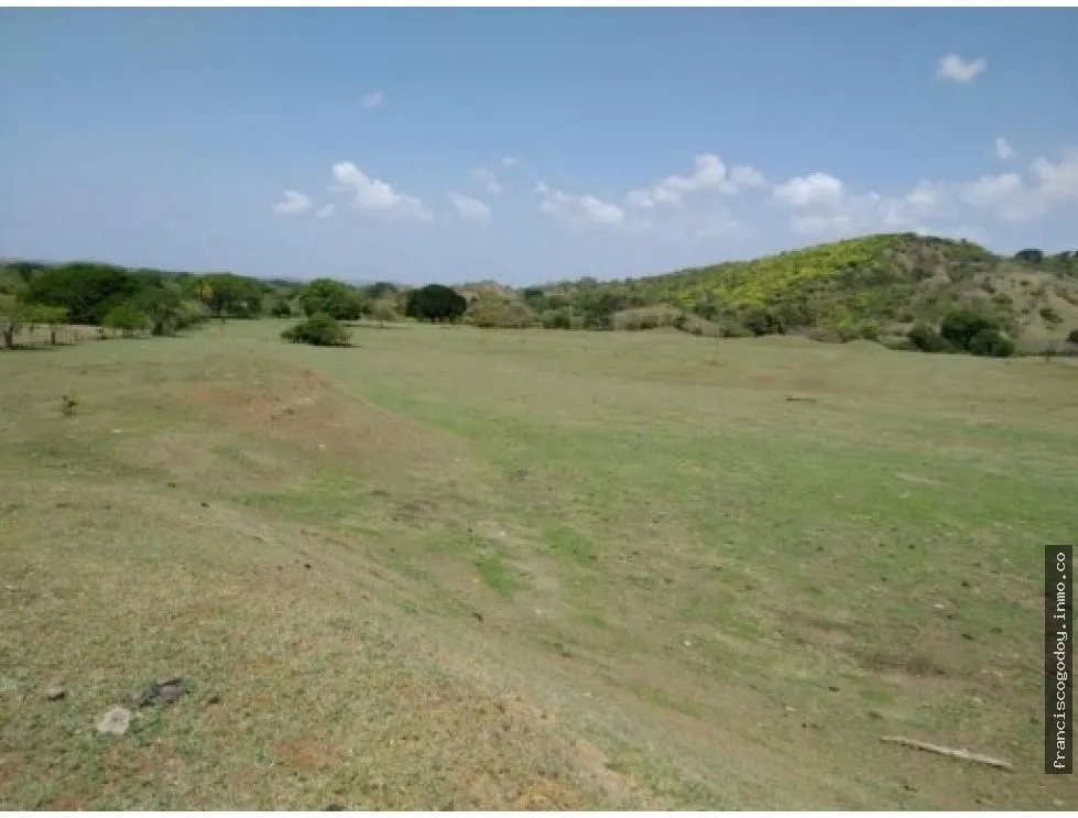 Venta de finca en pesé, herrera