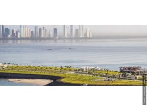 141790 - Punta pacifica - lots - ph aqualina