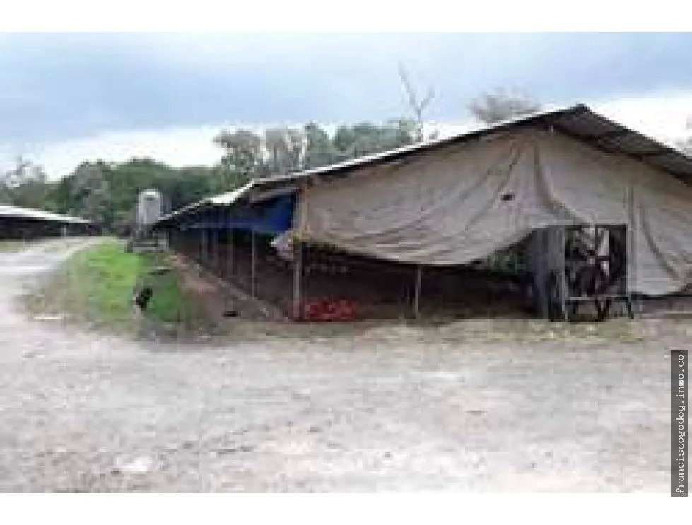 Se vende lote de terreno en colón