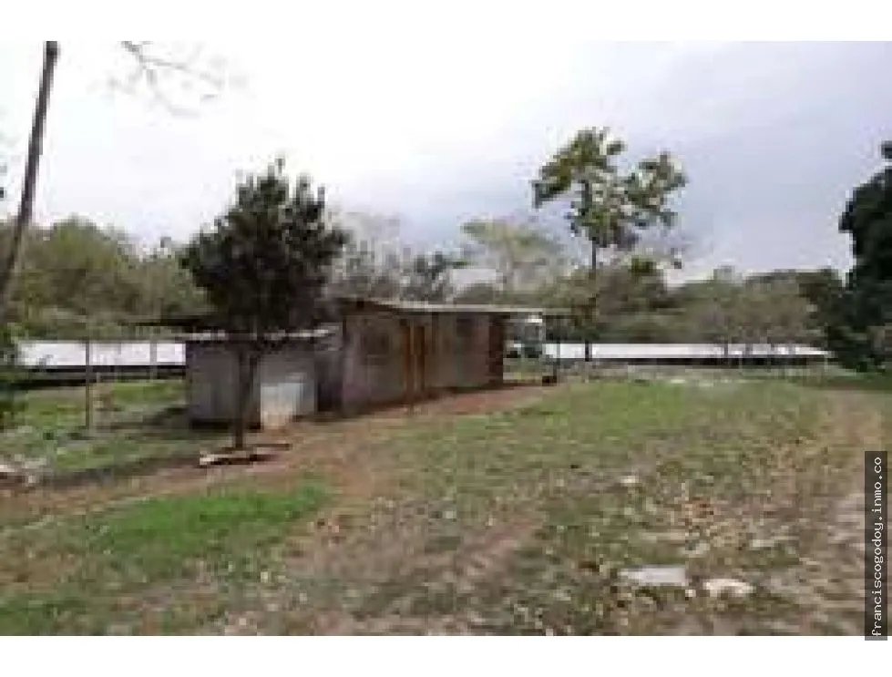 Se vende lote de terreno en colón