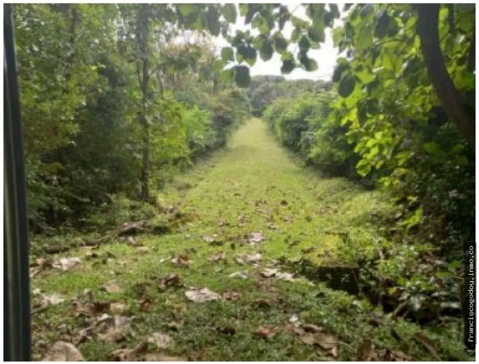 Terreno en venta la pintada, penonomé