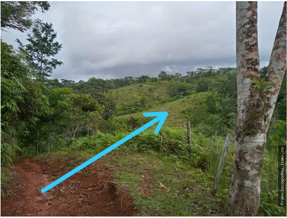 Se vende finca en ciri de los sotos capira panama