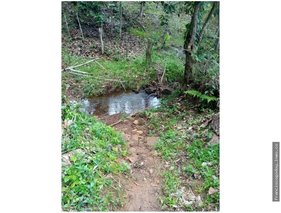 Se vende finca en ciri de los sotos capira panama