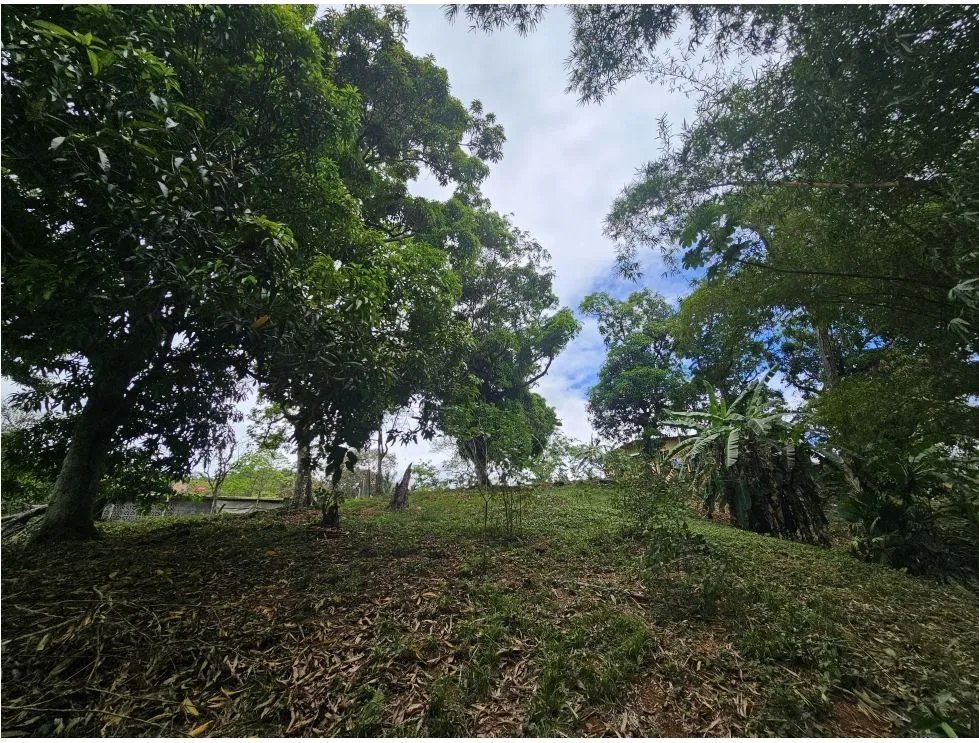 Se vende casa con amplio terreno en arraiján, panamá oeste