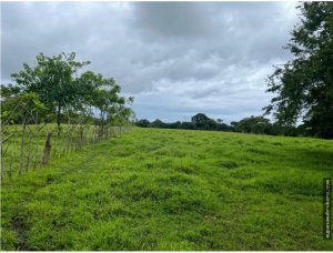 142574 - Pedasí - properties - equus village