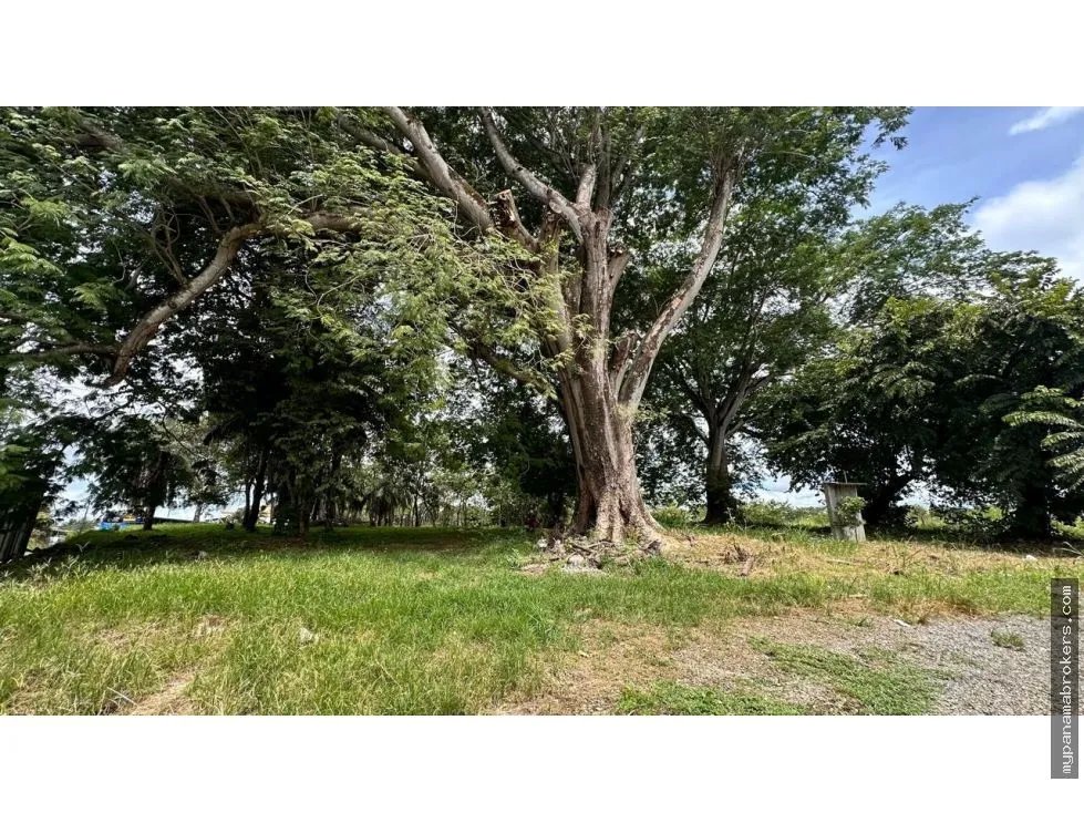 Se vende terreno en david, chiriquí
