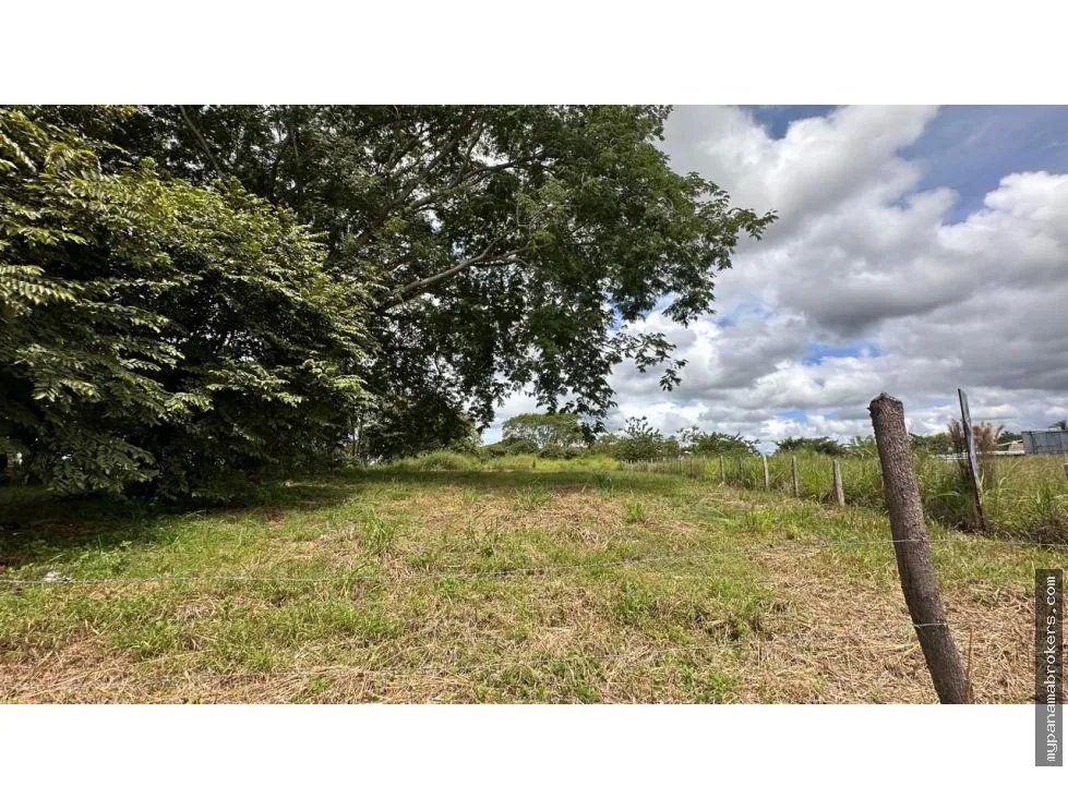 Se vende terreno en david, chiriquí
