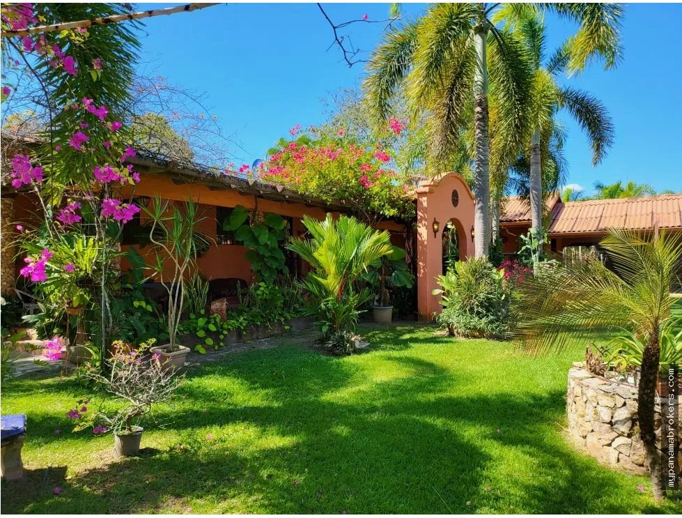 Se vende casa con plantación en nueva gorgona, chame