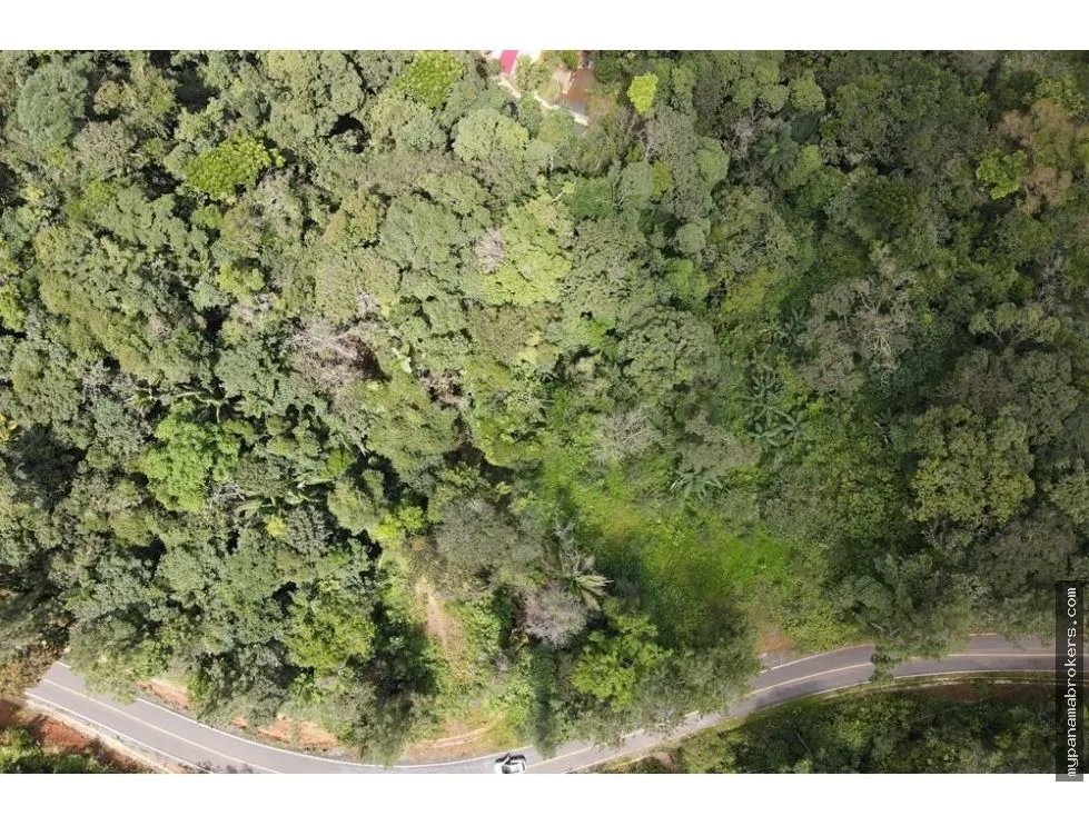 Se venden lotes en altos de pacora
