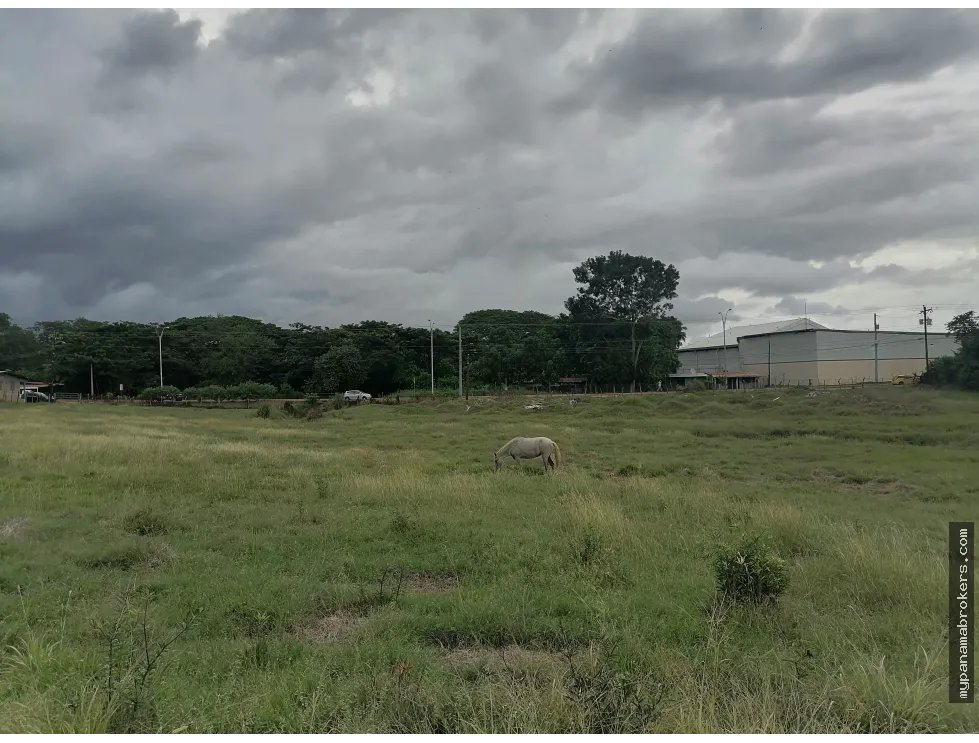 Se vende terreno en chitré