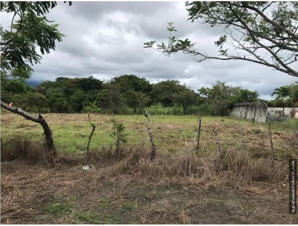 Se vende lote en la florenciana, chame