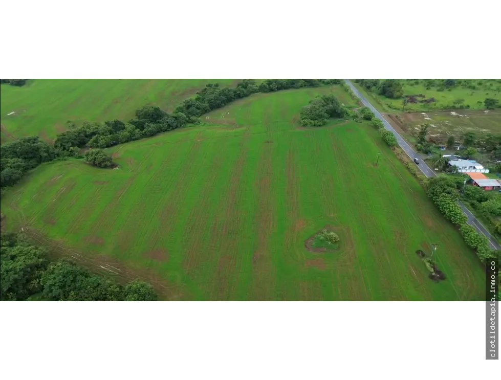 Venta de finca en pedasí, los santos