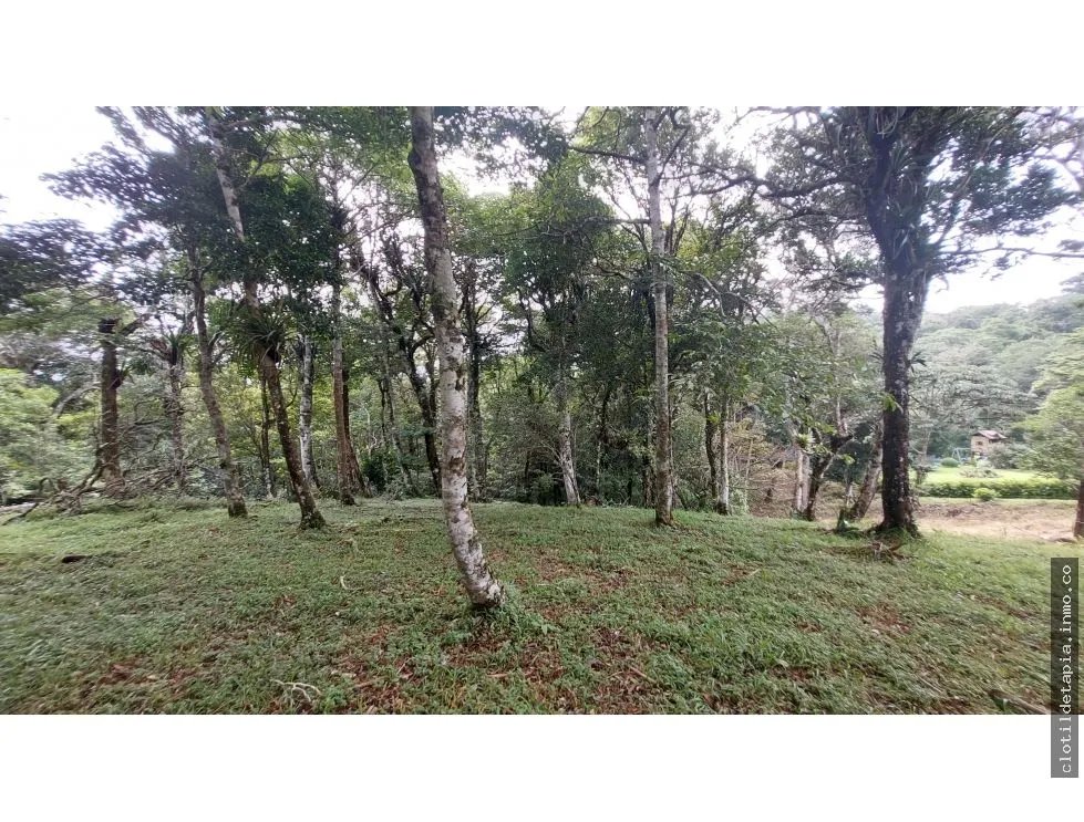 Se vende lote en altos del maría, chame