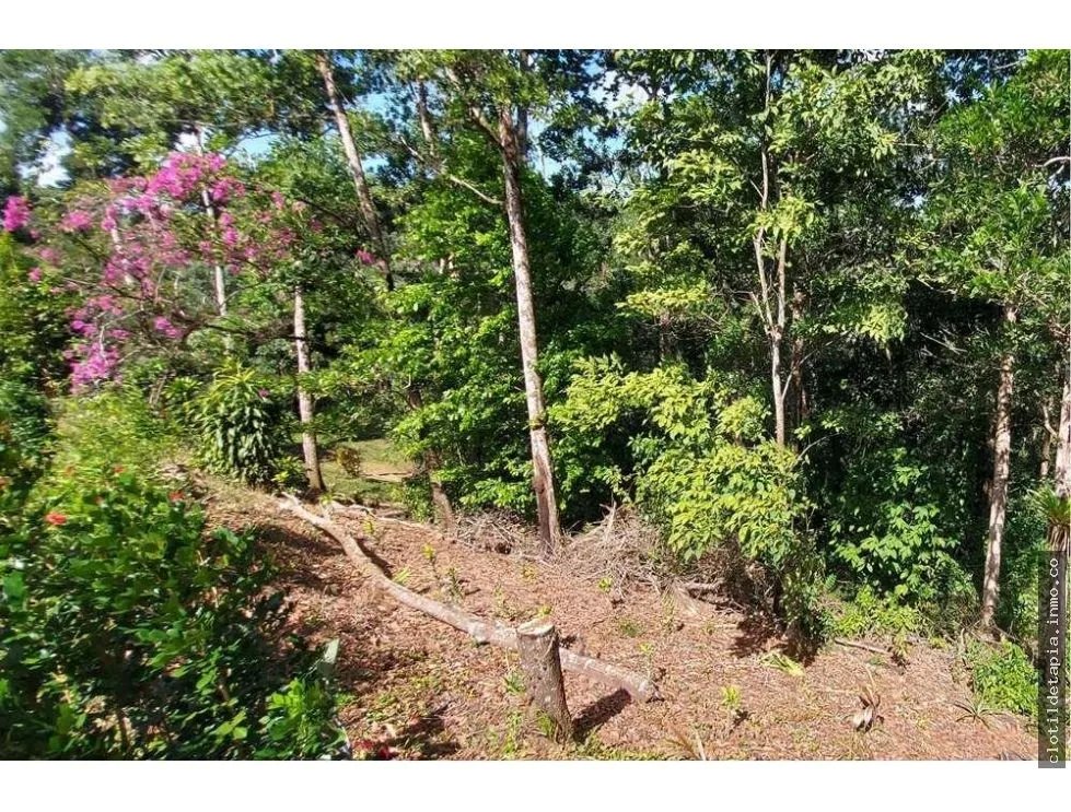 Se vende finca en nueva providencia, colón