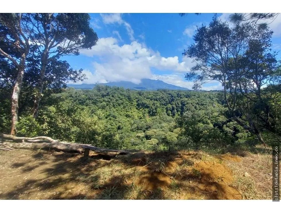 Se vende finca cafetera en alto boquete, chiriquí