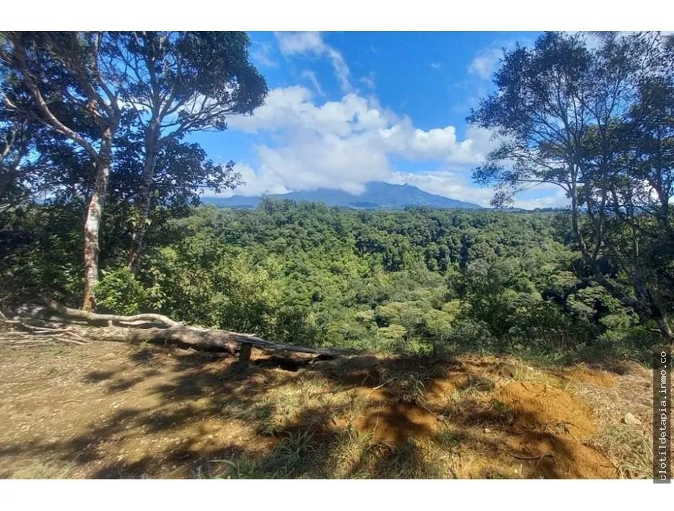 Se vende finca cafetera en alto boquete, chiriquí