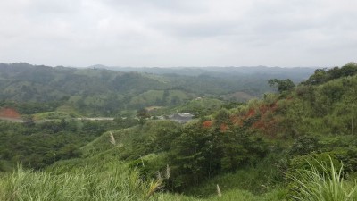 14298 - Gatún - fincas