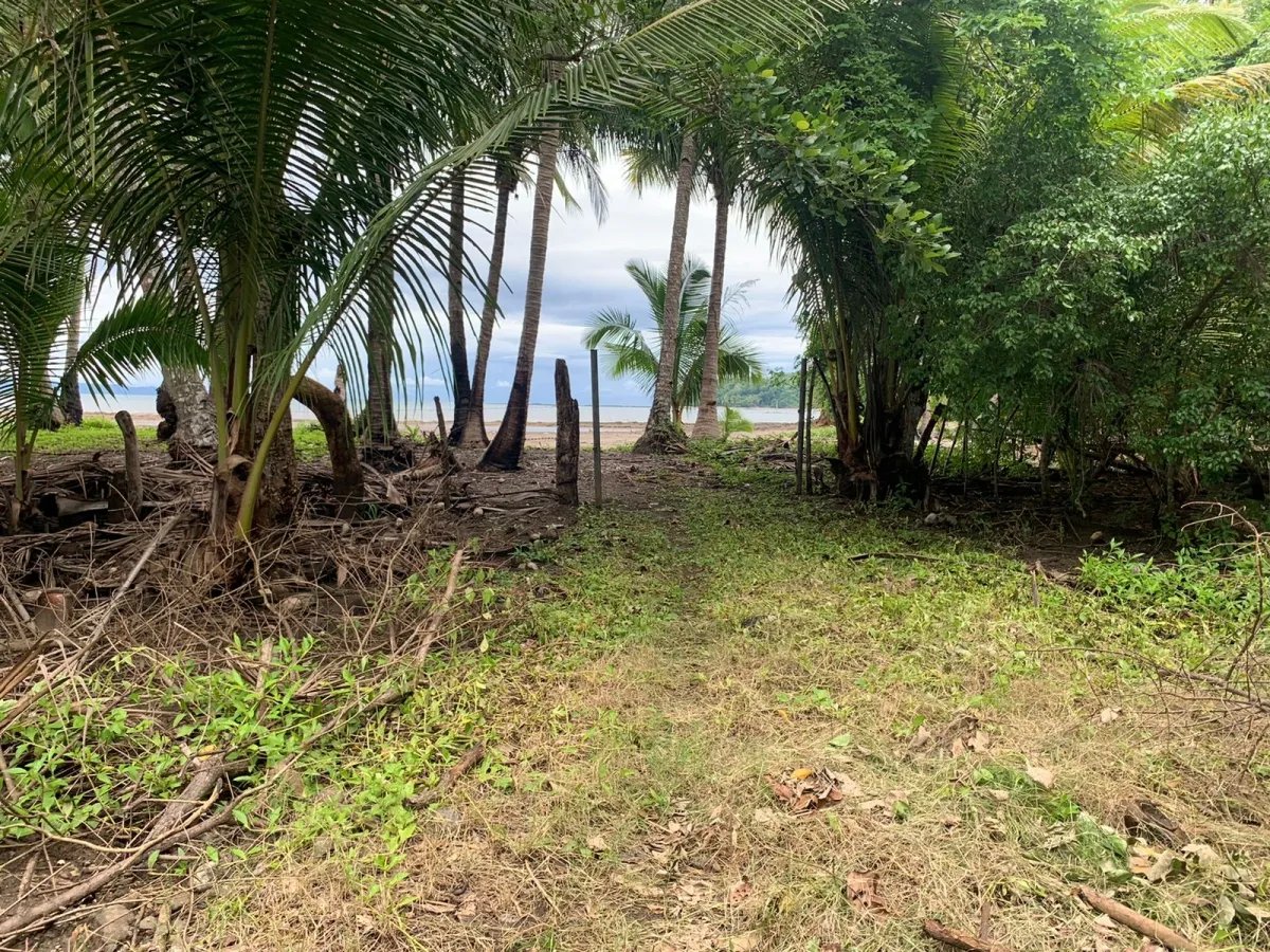 Lote de Casa en Venta en Santa Catalina