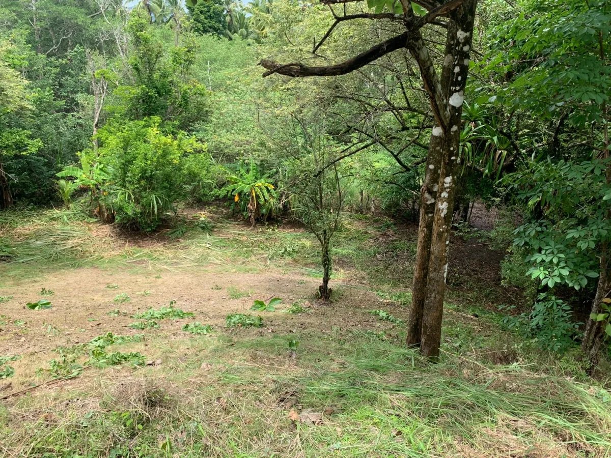 Lote de Casa en Venta en Santa Catalina