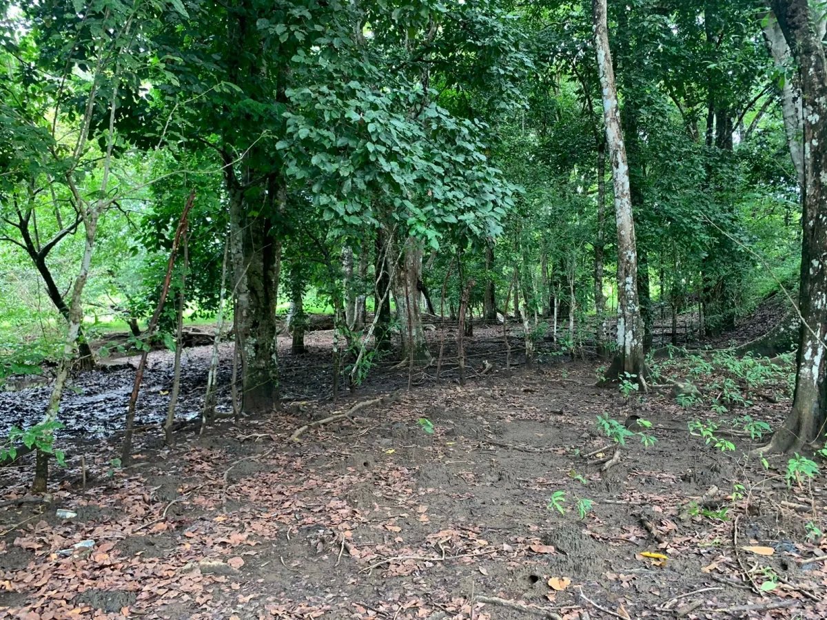 Lote de Casa en Venta en Santa Catalina